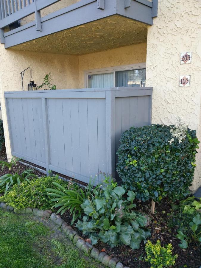 Departamento Completo En San Diego Hablamos Espanol Eksteriør billede